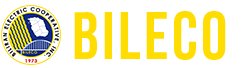 The Official Website of BILECO